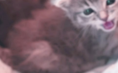 �^��С؈��ӛ����300��