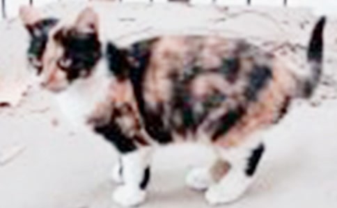 �^����ӛС؈