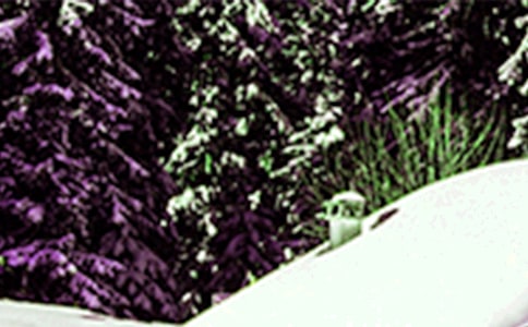 Сѩ�ļ��Z��Ĭ��ȫ�ղ�