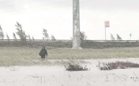 ��W����������Y����