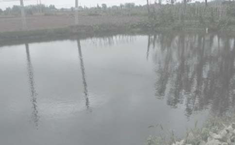 �P���~���а���ͬ���ąR����ƪ