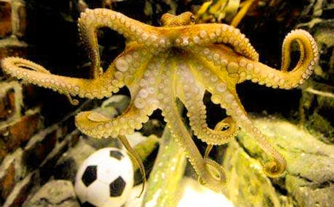 �n���������~��������ȫ