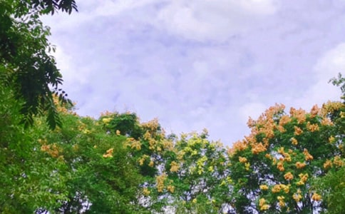 �옷����������