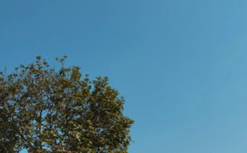 �����x����������400����ƪ