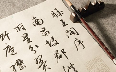 �����������w���g