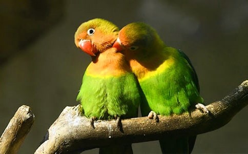  �W�^�����h�����ܳɞ�����Ԣ�Թ���