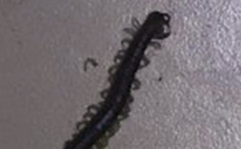 �P���~�Z�������