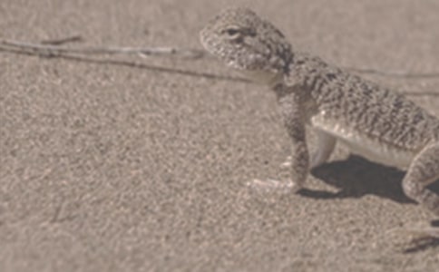 �����־���¡������ʹ�c����