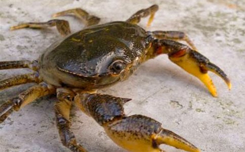 ץ�з����300��