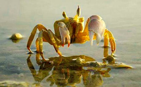 С�з����600��4ƪ