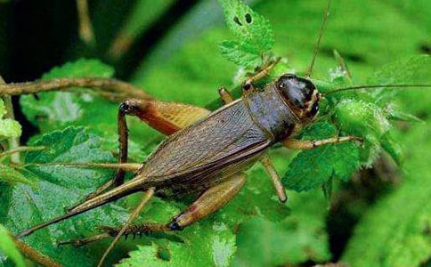 ���סլ�Č����ģ�ͨ��21ƪ��