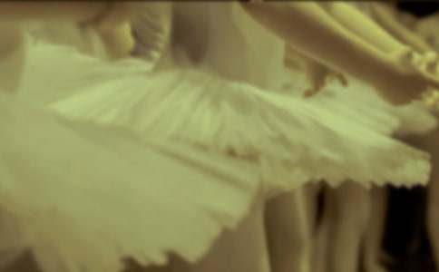 ����İ�������