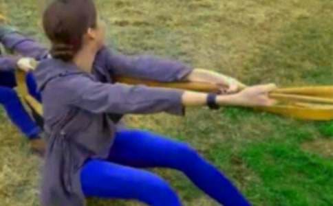 �F�Y�İκ�����