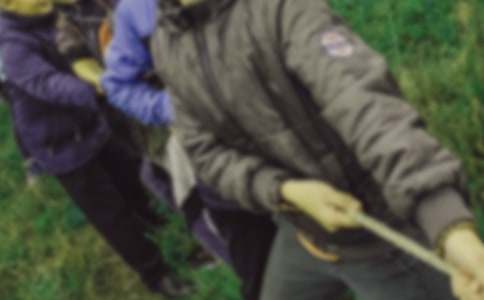 �������İκ�