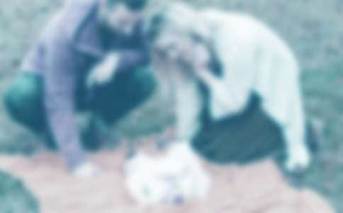 �ҵİְ֋�����������500�֣�ͨ��37ƪ��