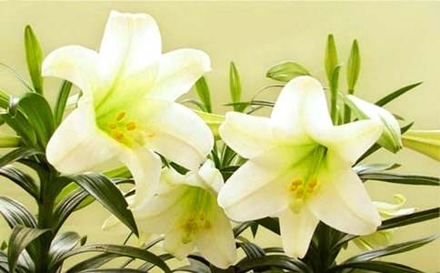 �^��ٺϻ�����100�֣����x32ƪ��