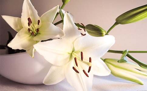 �P���^��ٺϻ�����