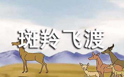 《斑羚飛渡》的讀后感作文500字