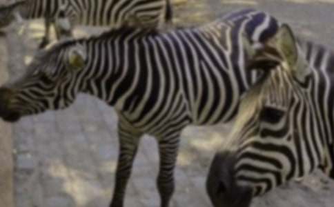 �Y׌���R��С�W����