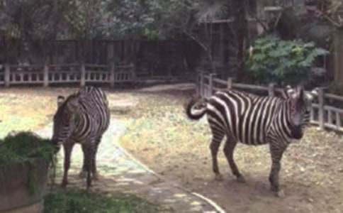 ���R��С�W����