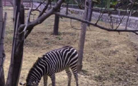 ���R������15ƪ