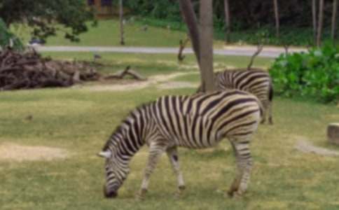 �^���R������300��