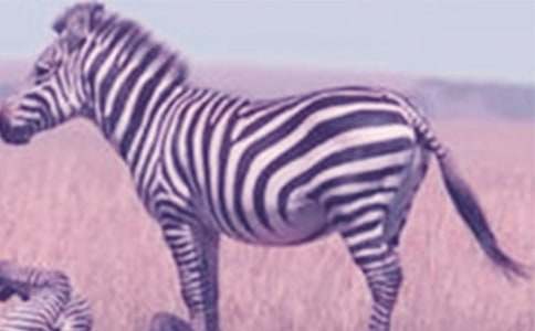 ���R��������Ԓ500������