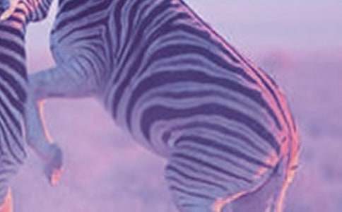 С����С�ֶY׌���R������