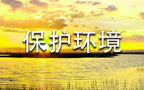 ���o�h�����ķ���100�օR��