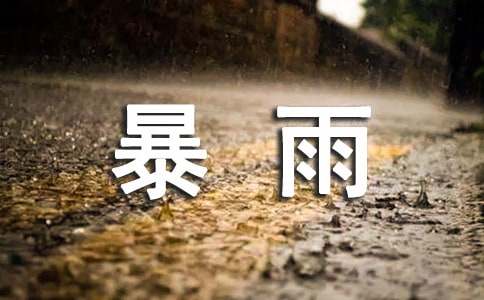 描寫暴雨作文300字