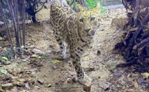 С���Ӻ����ͯԒ����