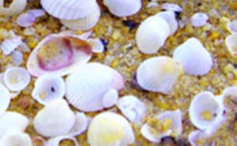 ؐ��������1000��