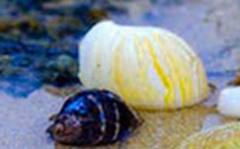 �P��ؐ�����ģ�ͨ��50ƪ��