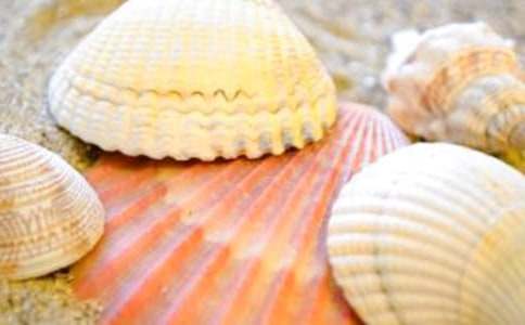 ؐ��������