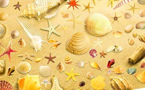 ��ؐ��С�W������5ƪ