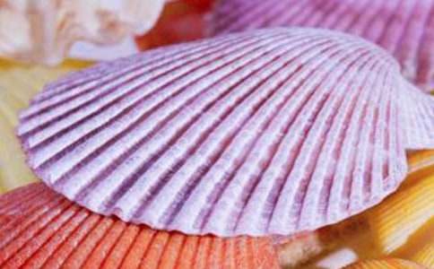 �P��ؐ�����ľ�ƪ