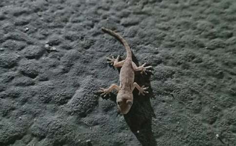 �P�ڱڻ�����500�ְ�ƪ