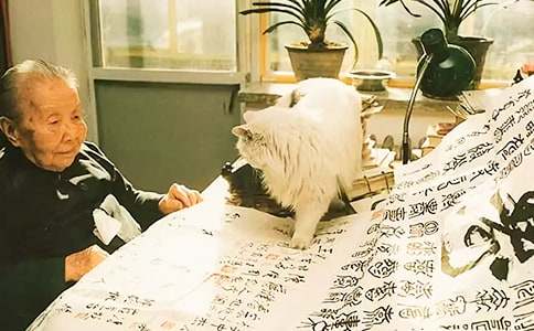 冰心愛玫瑰花作文200字