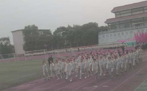 �µ����cͣ܇�c�𲽲�������