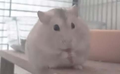 �^��}������8ƪ