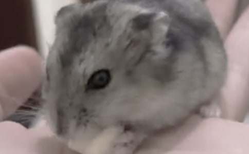 �茑�}�������300�֣�ͨ��59ƪ��