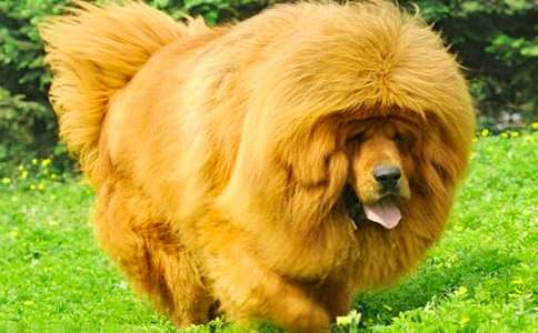 ���P��������300�֣�ͨ��26ƪ��