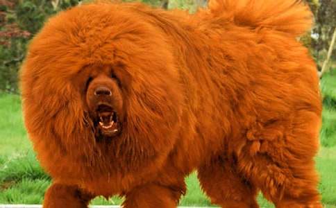 ��������400����ƪ