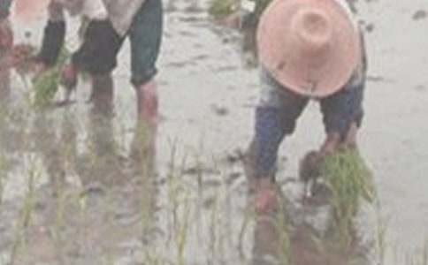 ���f������衷ȫ�ļ��b�p