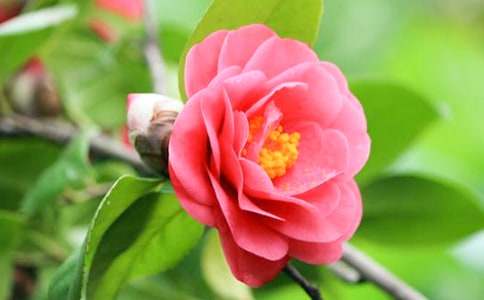 �^��軨����