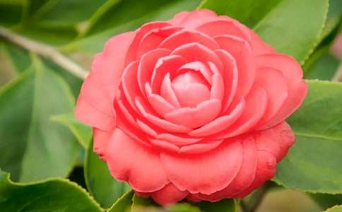 �軨����400����ƪ