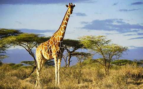 ���ܺ��L�i¹����300��