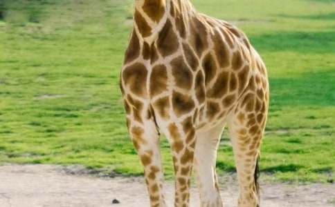 �L�i¹�c���� Ԣ�Թ���