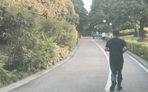 雨中晨跑小學作文(通用22篇)