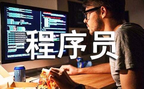 程序員轉正申請書(精選5篇)